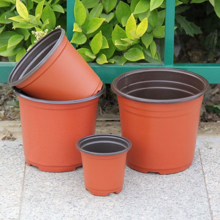 加厚双色育苗盆营养杯钵多肉菜苗叶插塑料一次性简易花盆大号硬盆 110