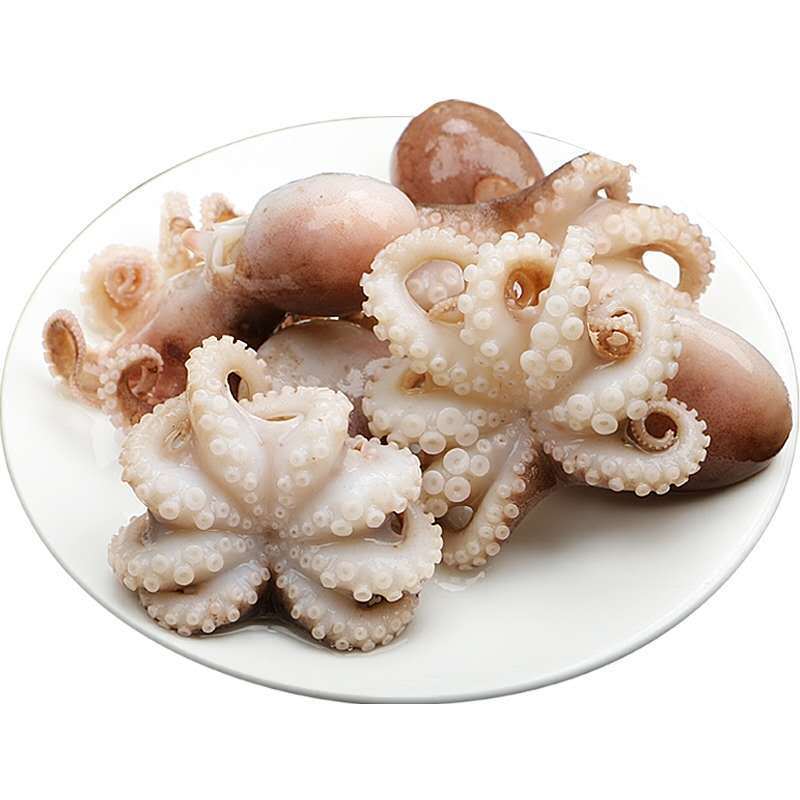 八爪鱼鲜活速冻迷你八爪鱼翻花小章鱼去牙去脏八爪鱼去牙去内脏款四斤