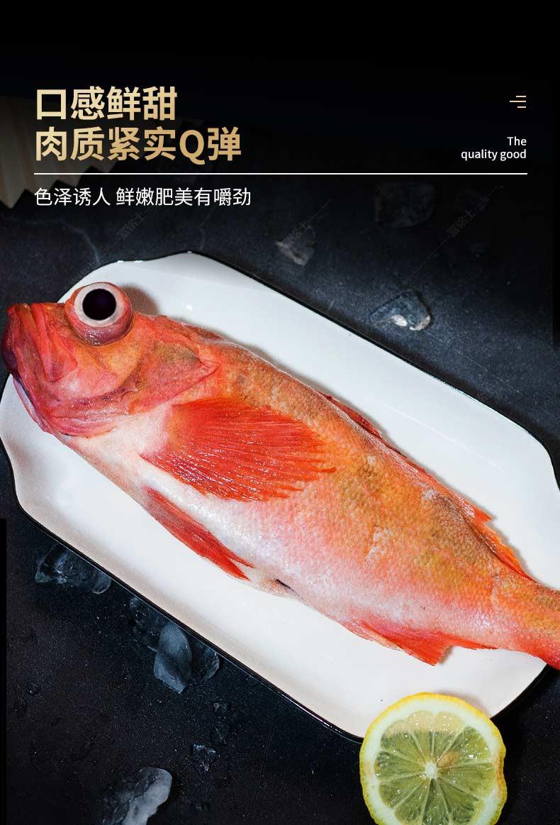 虾滩深海红石斑鱼鲜活冷冻红鱼富贵鱼海鲜一条装