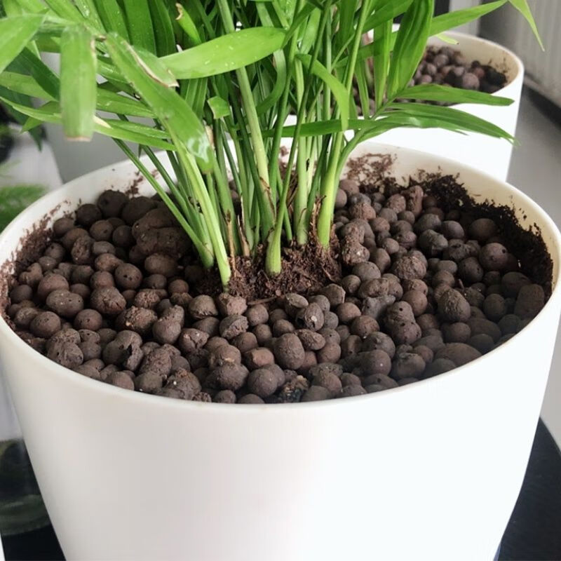 花盆里放的陶粒陶粒花用养花铺面石盆栽透气多肉垫底空心轻质陶粒花盆