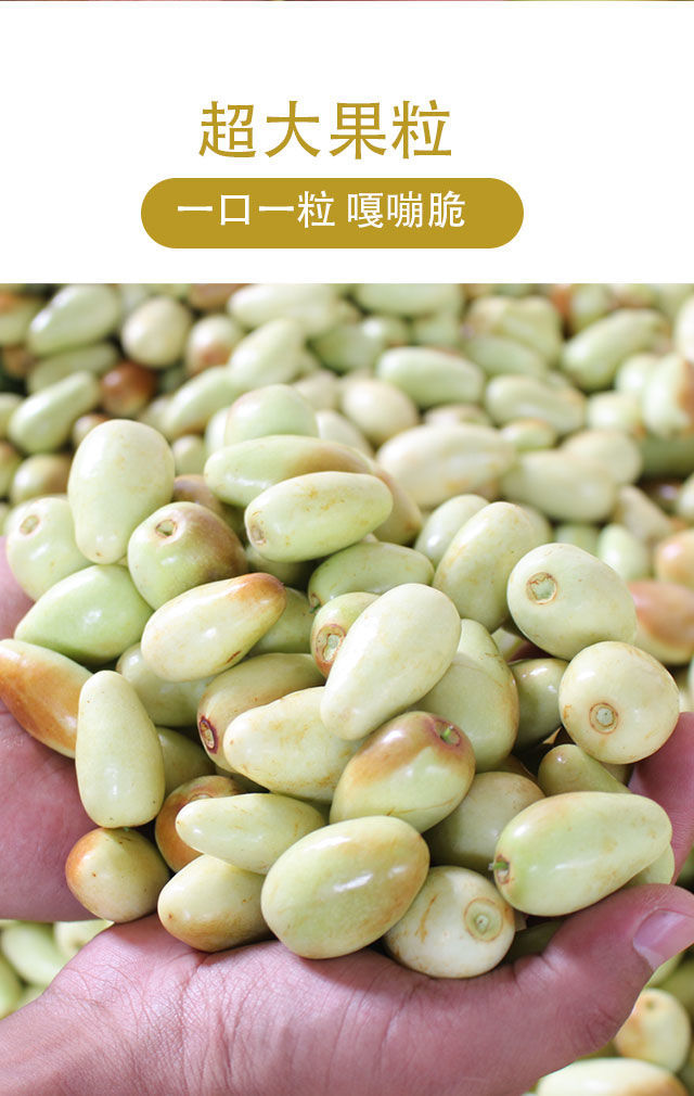 (现摘现发)云南宾川天下第一枣 枣子脆甜新鲜孕妇当季水果整箱非大荔