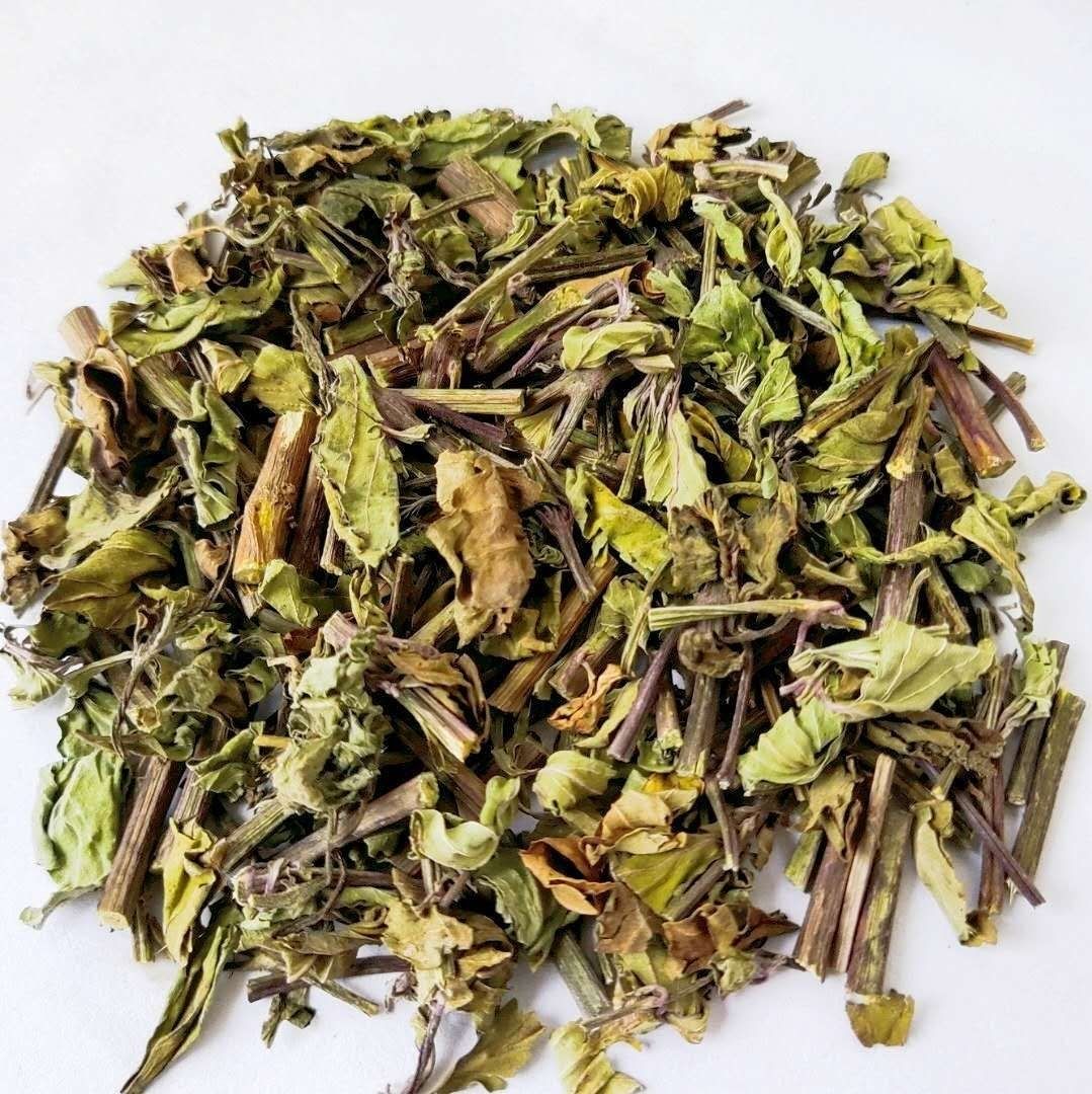 云南猫须草中药材猫须草 肾茶 猫须公 干货猫须草 500克【图片 价格