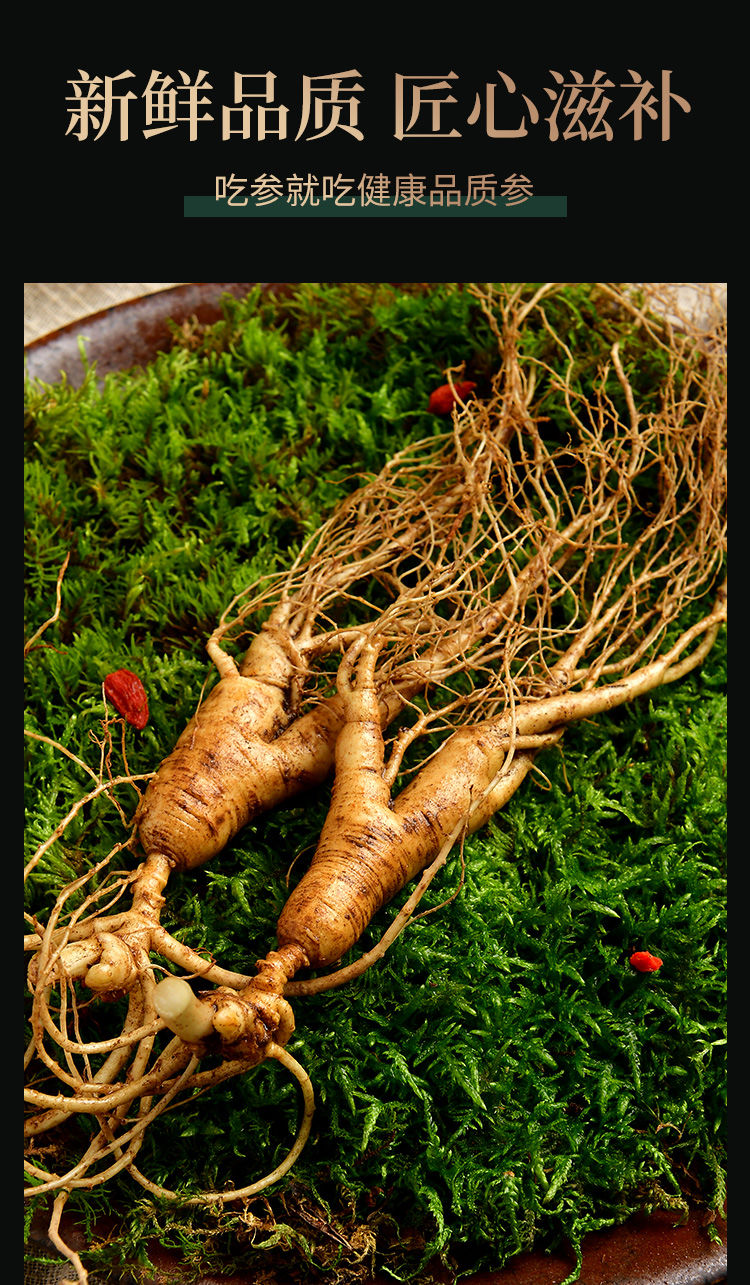 12年新鲜林下参长白山野山参东北林下参新鲜移山参单支重1525克2支装