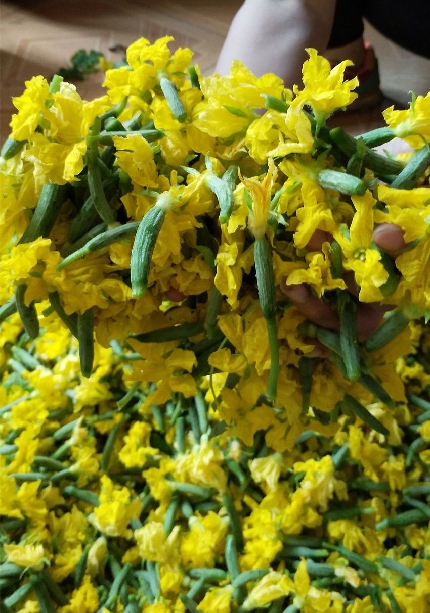 山东新鲜酒店黄瓜花乳瓜苗青瓜花顶花鲜嫩黄瓜小青瓜花沙拉菜 3斤