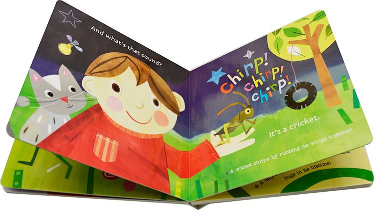 英文原版绘本 hello world backyard bugs 你好 世界 幼儿stem启蒙