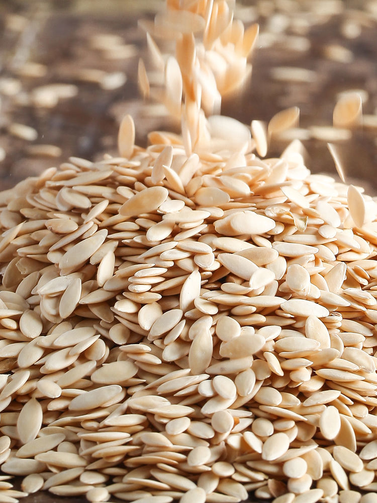 北京同仁堂原料北京黄瓜籽黄瓜子粉熟东北老旱熟黄瓜子粉原粉5005g克