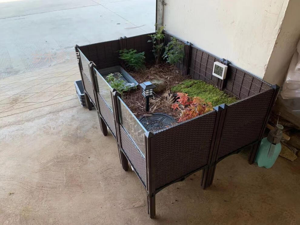 半水龟安缘台缘 草龟生态水陆缸 东箱专用饲养 黄缘生态环境80款套餐