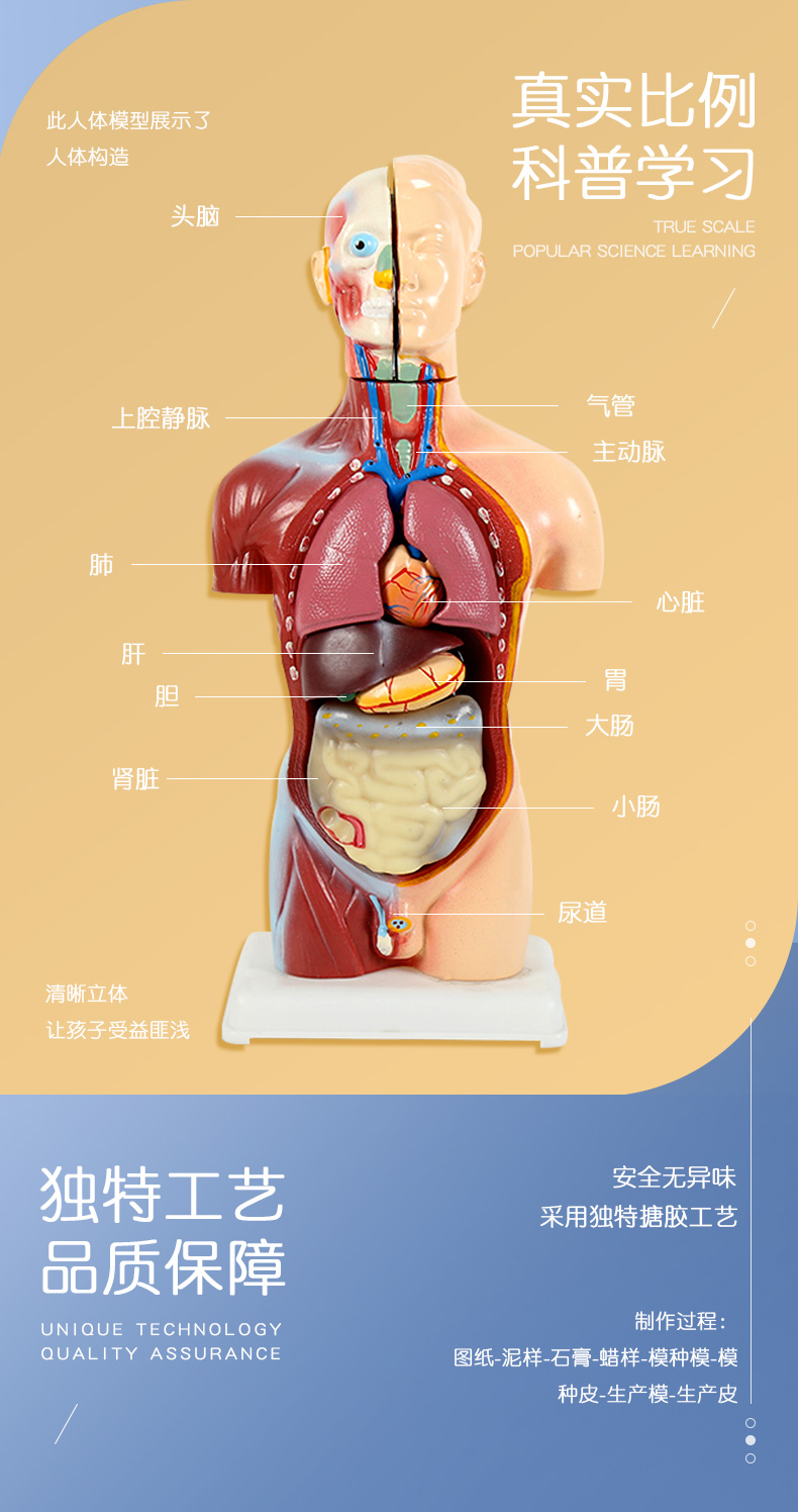 儿童版