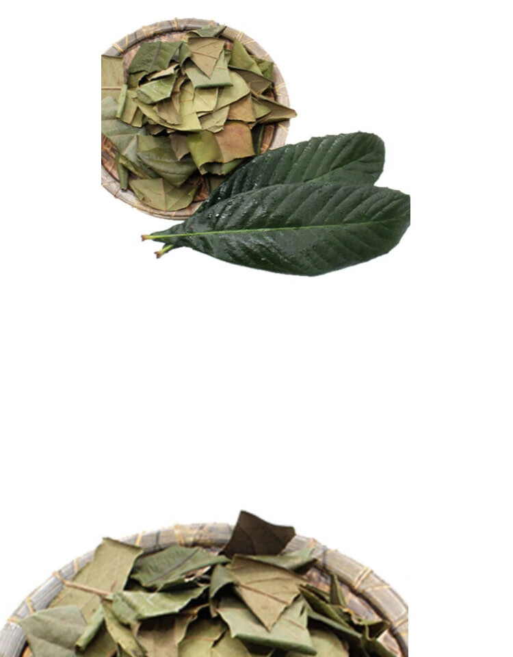 耕药堂枇杷叶新鲜干货琵琶叶干泡茶批把叶子枇杷叶粉500g顺丰加急发货