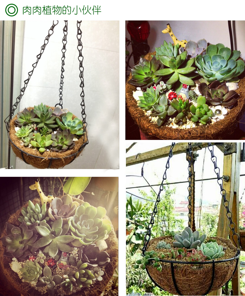 吊篮花盆吊兰半壁垂吊挂盆椰棕多肉绿萝种菜种花铁艺挂墙园艺吊盆14寸