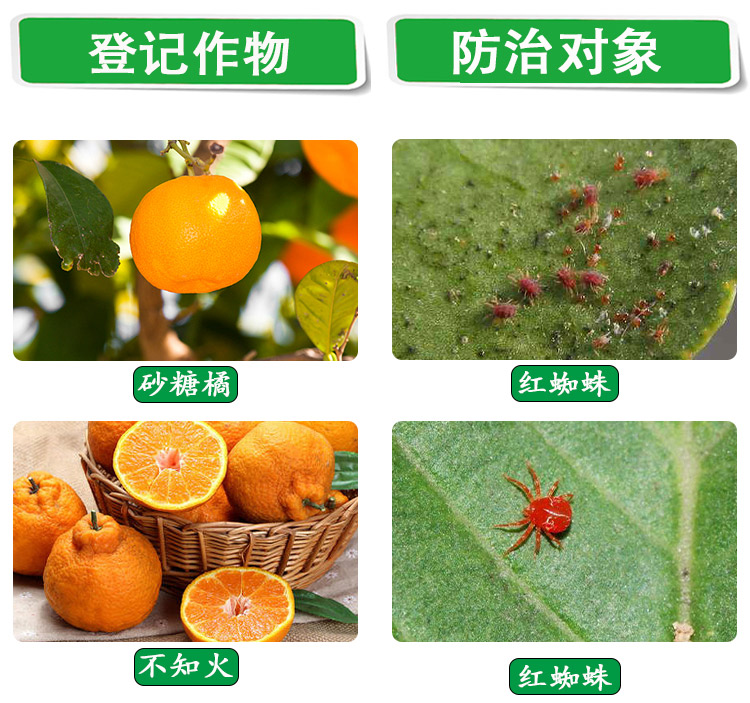杀柑橘红蜘蛛有哪些药剂好(杀柑橘红蜘蛛有哪些药剂好用)