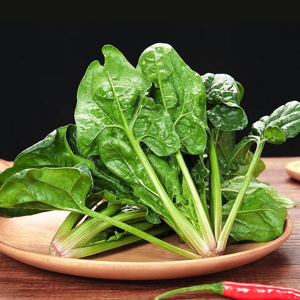 【京鲜达】新鲜农家自种露天新鲜红根菠菜嫩叶小菠菜 新鲜菠菜2斤装