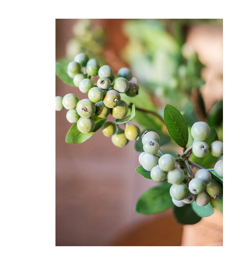 掬涵醋栗果子果实枝叶仿真绿植花艺搭配插花桌面装饰美式黄醋栗长65cm