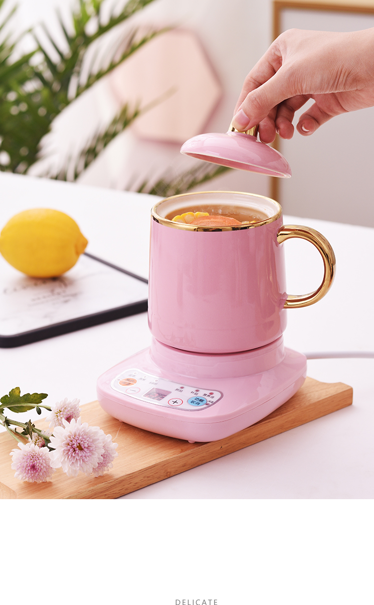 弭黎 多功能养生杯办公室花茶杯迷你煲粥杯全自动电炖杯便携电热煲汤