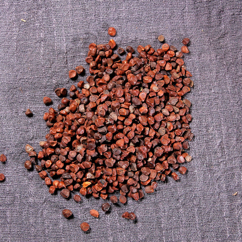 马蔺子 中药材 马兰子 马莲子 马楝子 马帚子 100克【图片 价格 品牌