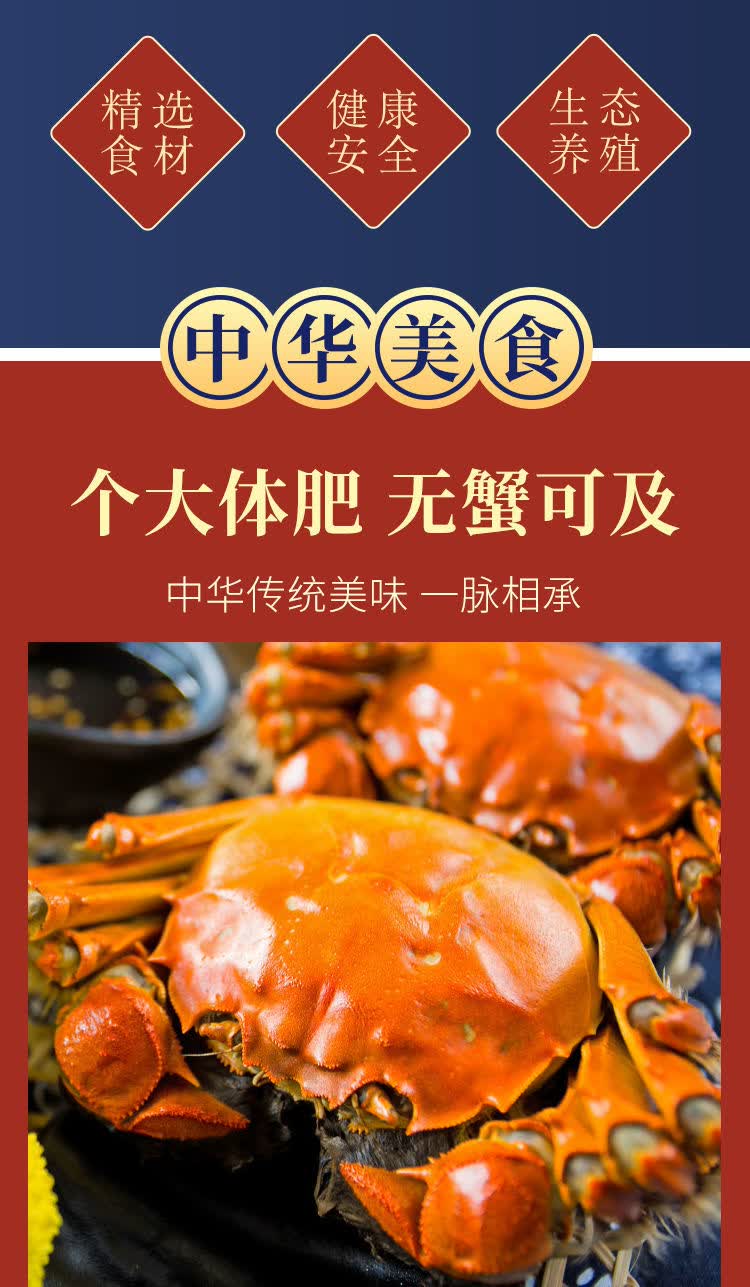活鲜大闸蟹鲜活大螃蟹六月黄螃蟹母蟹135两礼盒装比里德斯全母1520两