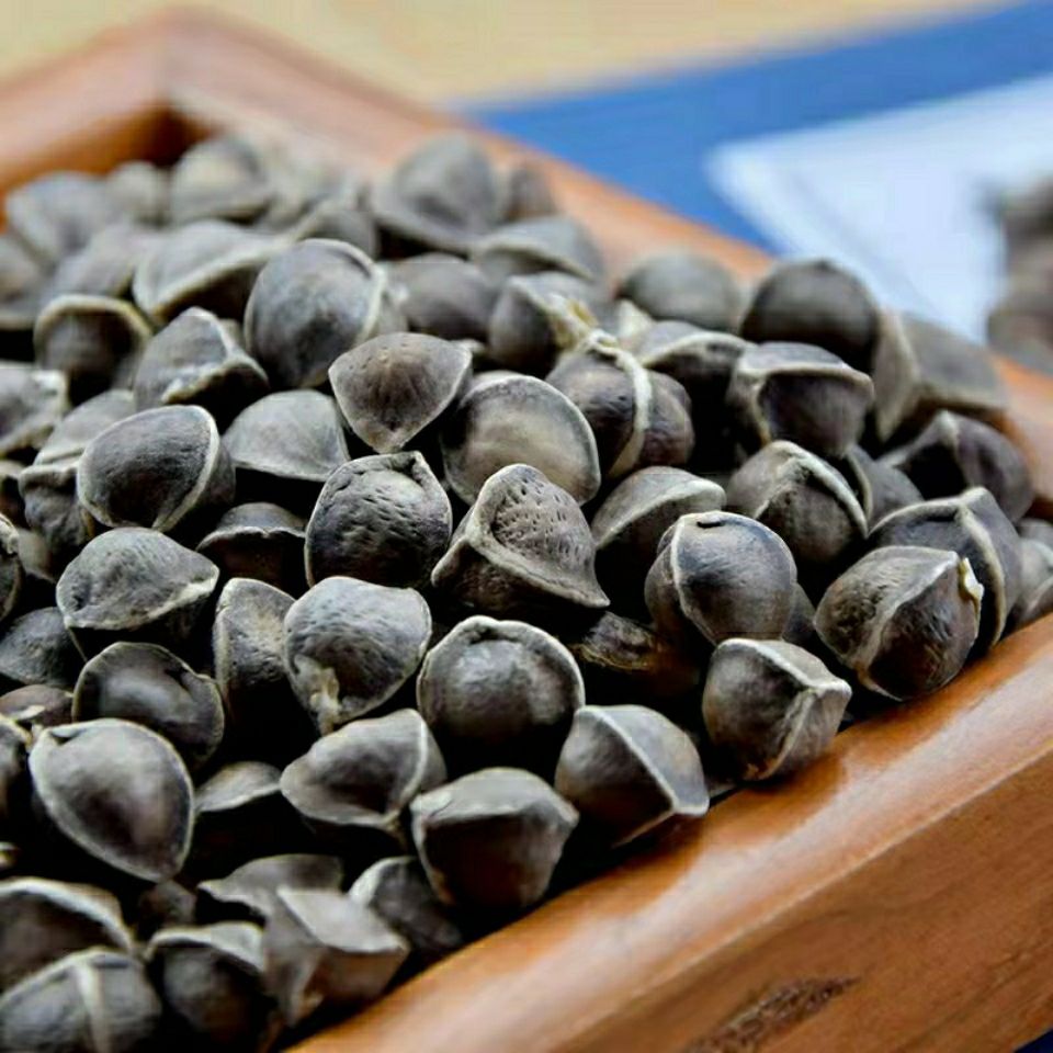 60啡晨辣木籽野生老树精选正宗辣木子食用散装多规格sn4964小辣木子