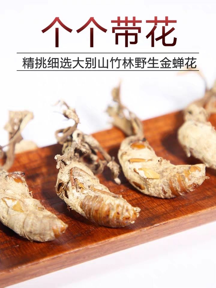 北京同仁堂原料金蝉花 中药材野生金蝉花 大别山竹林蝉花知了花大