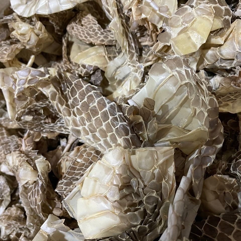 北京同仁堂原料 蛇皮 中药材 龙衣蛇皮长龙皮 蛇壳蛇退5野生蛇皮内廷