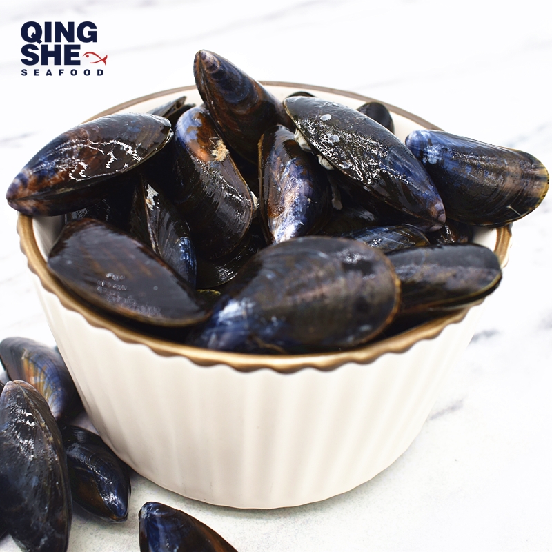 法国空运进口鲜活青蓝口贝bluemussel蓝贻贝1000g每周四到货