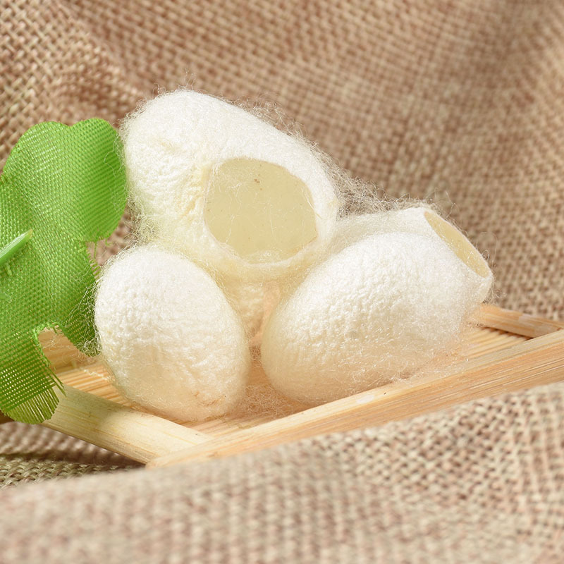 蚕衣蚕壳蚕茧壳新货 20个/袋