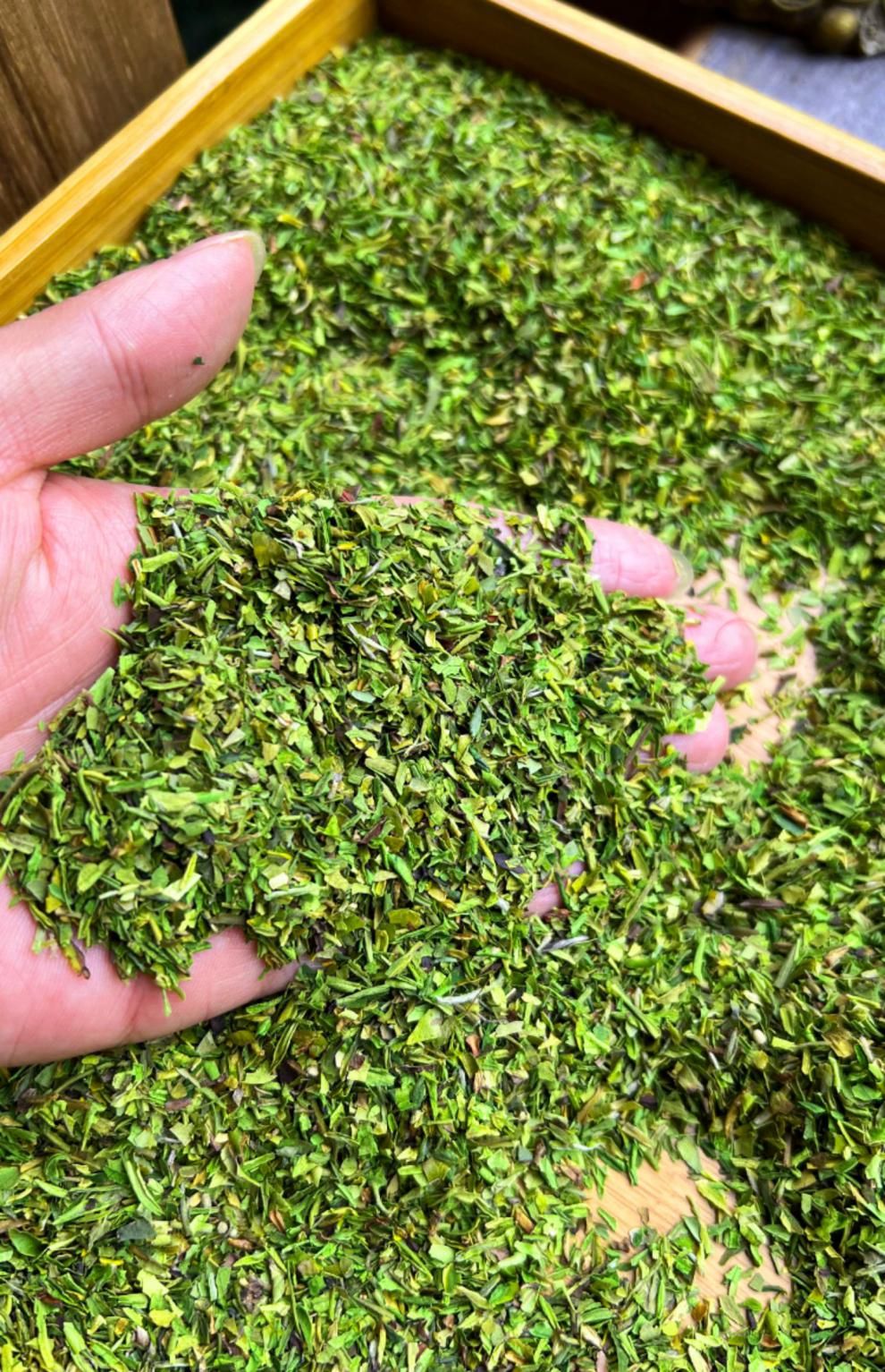 黄金小碎茶片2022年新茶叶明前嫩芽绿茶高碎散装500g浓香500g