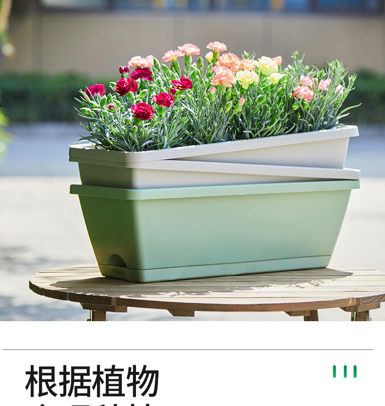 采缇阳台种菜盆长方形花盆塑料长条花盆家用种菜盆种花霍伦盆深灰色2