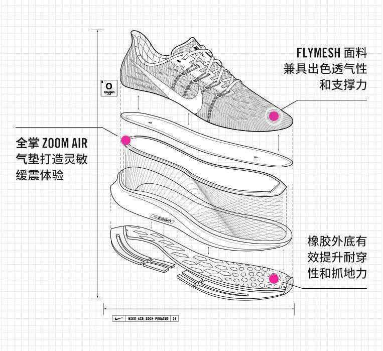 运动鞋的结构图解图片