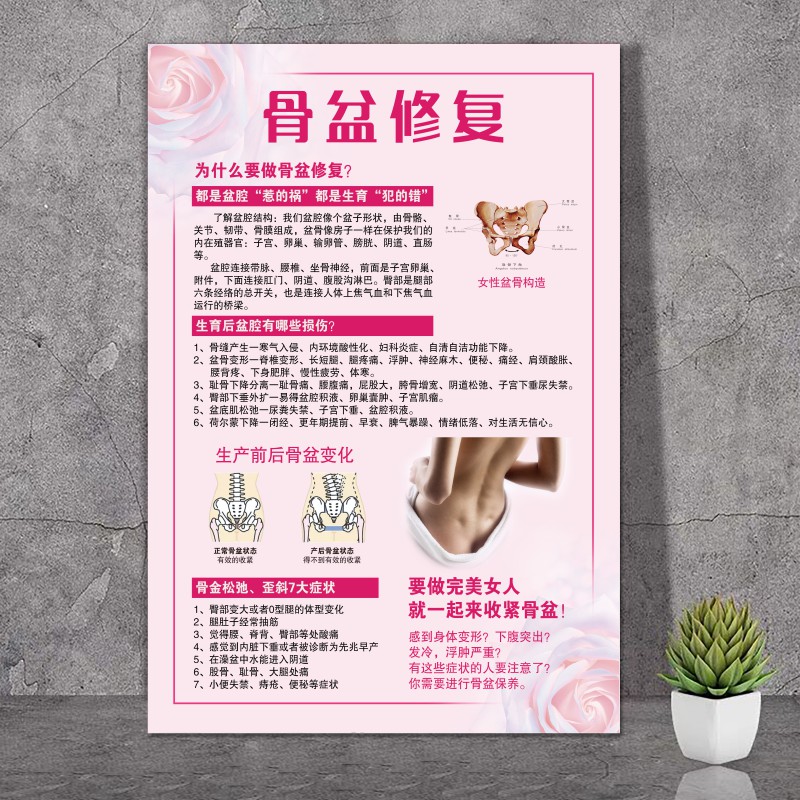 产后修复广告图月子康复宣传画产康海报催乳骨盆子宫恢复挂画装饰 23