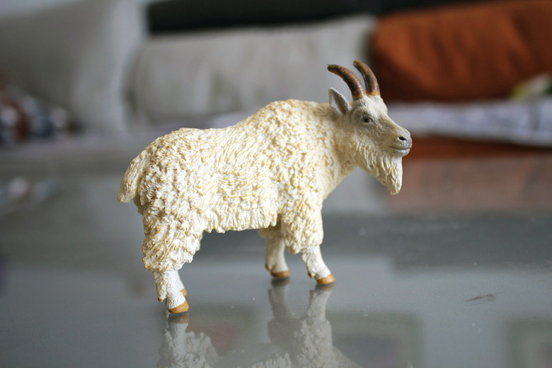 儿童玩具仿真动物模型白色山羊绵羊塑料摆件微景观过家家羊宝宝崽 母