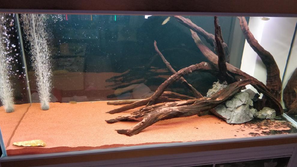 太行红沙鱼缸造景红色化妆沙三湖南美鼠鱼埃及七彩雷龙底砂雨林沙