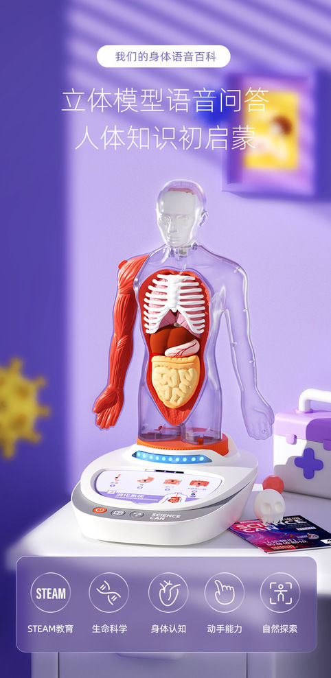 科学罐头人体解剖模型器官可拆卸儿童教学玩具我们的身体语音百科我们