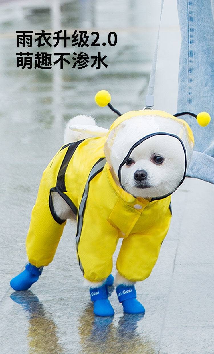 狗狗下雨神器雨天遛狗神器遛狗雨伞宠物雨伞狗雨衣雨伞全包黄色狮子xs