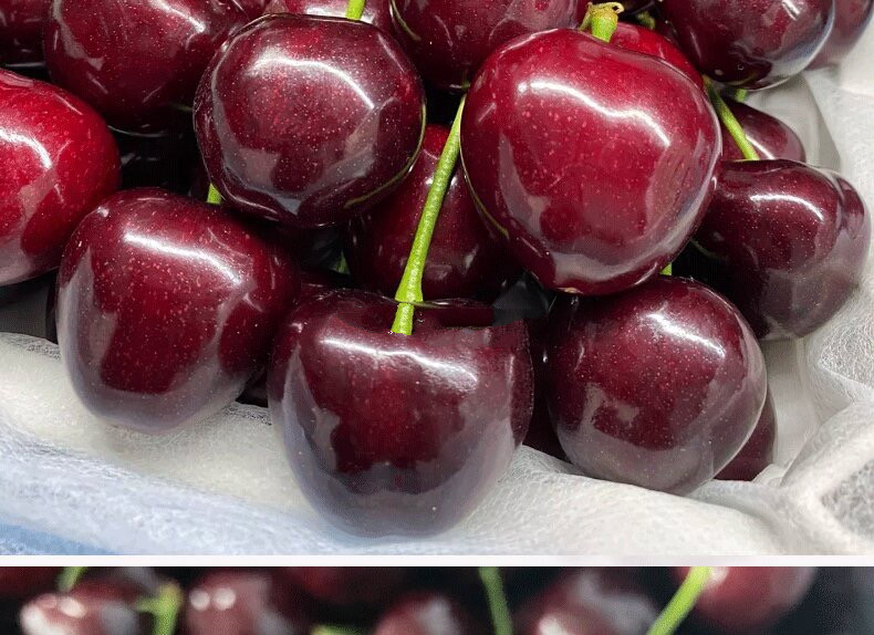 晨臻四川汉源黑珍珠红黑樱桃车厘子新鲜甜四水果顺丰空运3斤3j30mm含