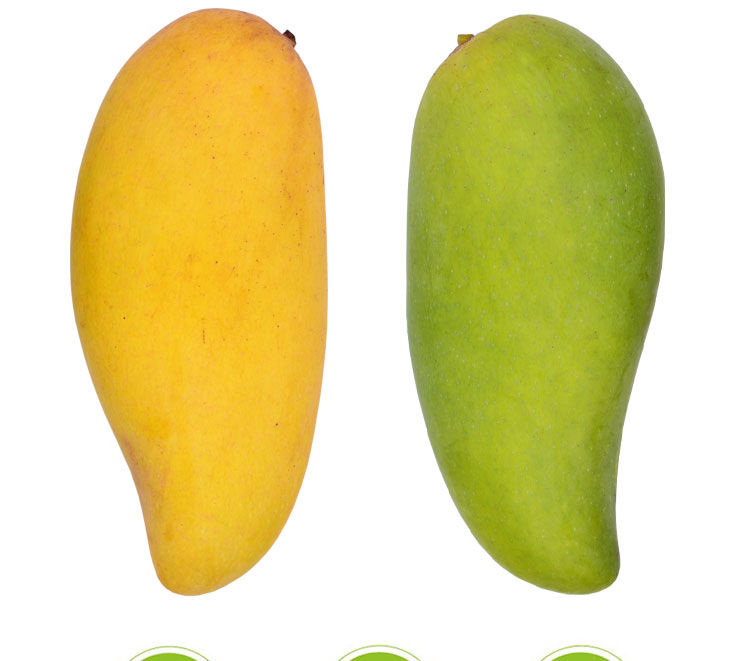 海南象牙芒果3510斤生芒果腰芒新鲜现摘水果非金煌贵妃台农3斤净重薄