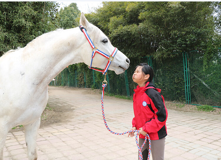 可调节马头套马具马笼头纺织马龙头牵马不含牵马绳8915sn0168德国笼头