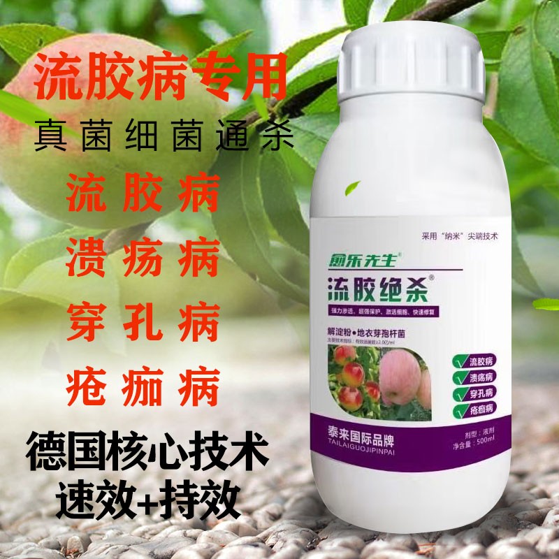 果树干腐病特效药图片