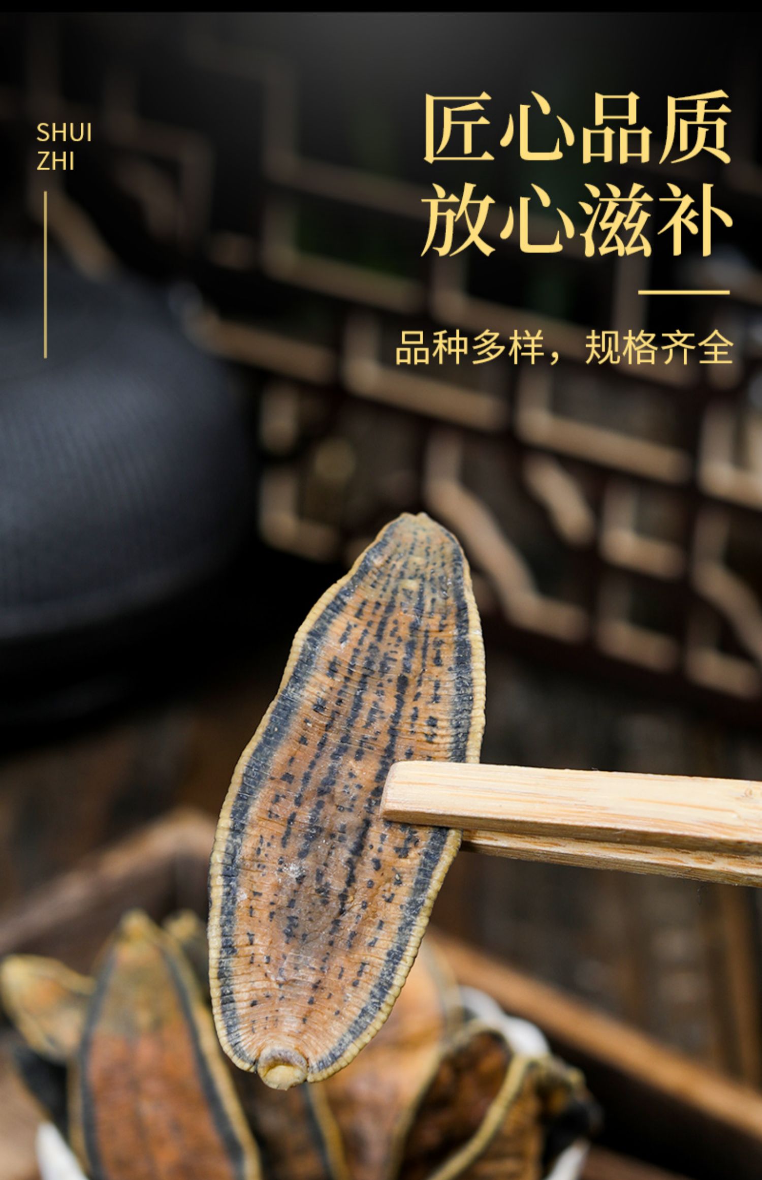 水蛭中药材 特级清水宽体金线水蛭全干货 新货水蛭干蚂蟥 宽体金线蛭