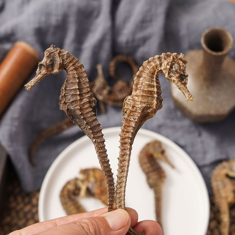 海马干货中药材泡酒公母配对大海马4.5g-5.