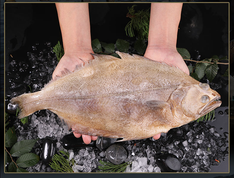 鲜活分割深海鲽鱼块新鲜冷冻鲽鱼片海鲜水产昌盛隆鲽鱼身4斤装