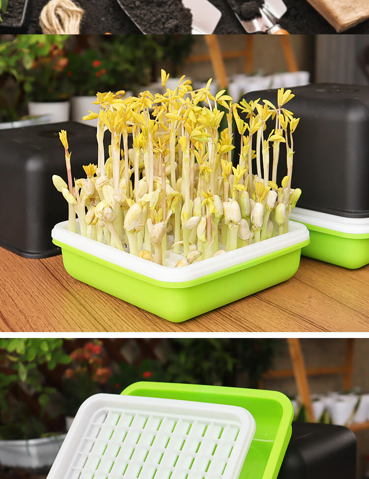 水培盒发花生豆芽专用盆无土栽培蔬菜种植非标定制豆芽发芽盘4套