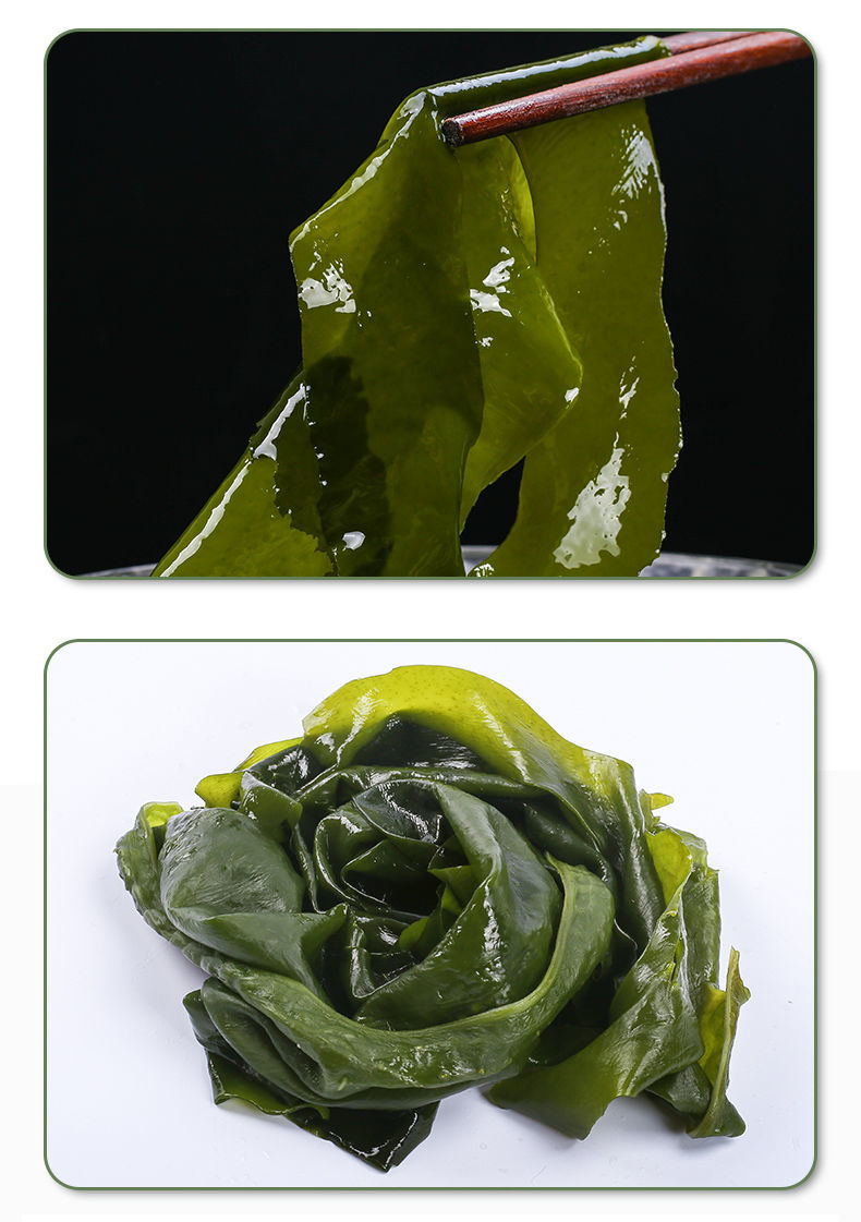 青樱红荔盐渍裙带菜韩国海带叶片汤海白菜叶半干货盐渍嫩海带叶整箱