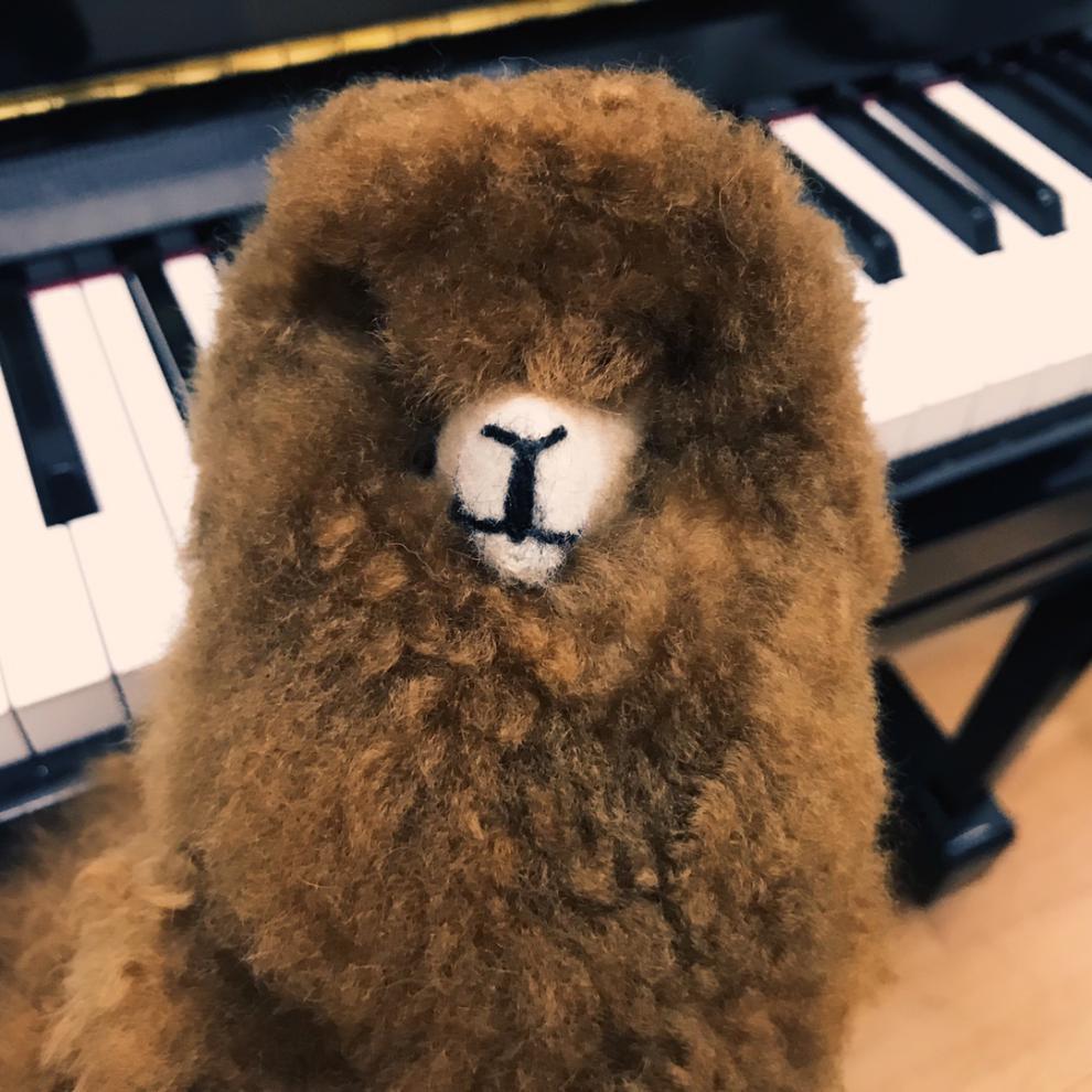 万代秘鲁羊驼 秘鲁品牌alpacasa 大号 手工羊驼真毛公仔毛绒玩具玩偶