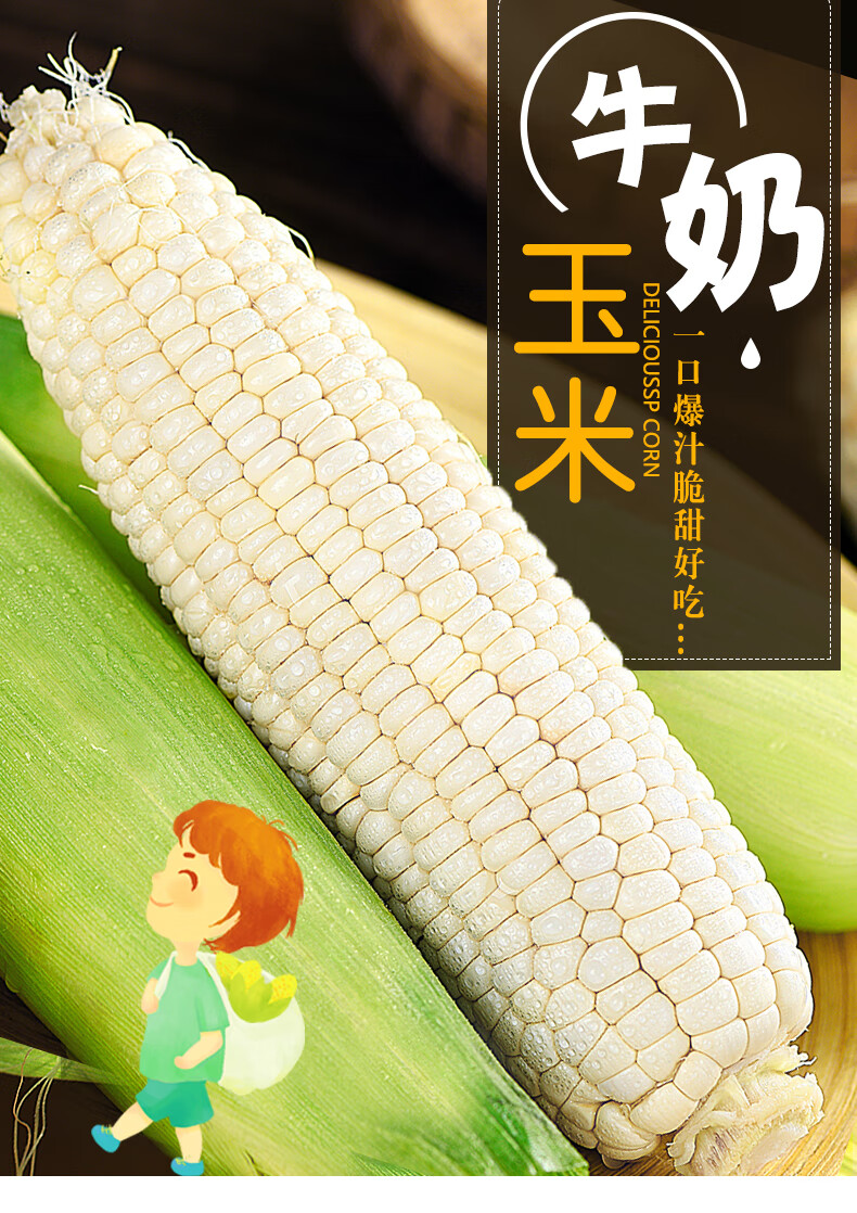 牛奶糯玉米10斤新鲜白玉米当季现摘水果爆浆甜嫩玉米棒12根