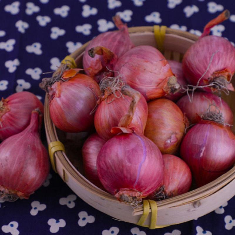 红葱头圆葱干葱头广东新鲜东北小毛葱鬼子葱小洋葱生吃 8斤【图片