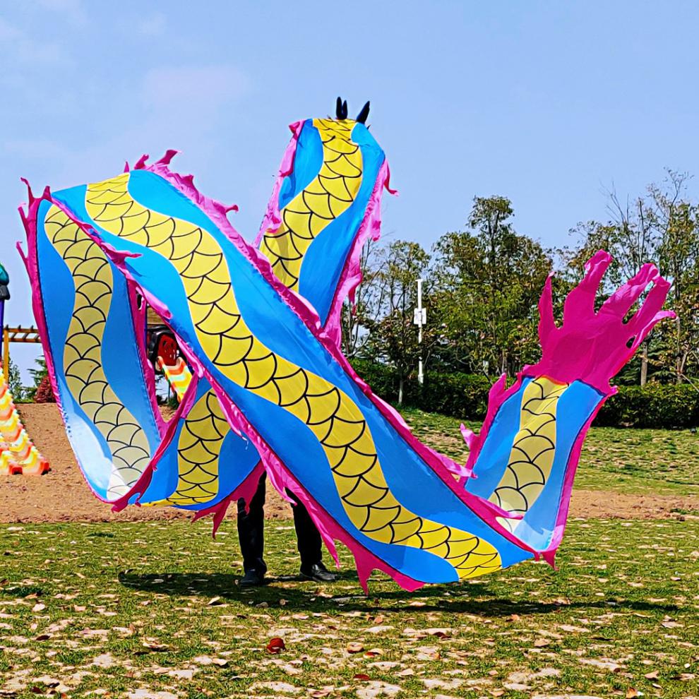 宝利嘉动感游龙健身龙带甩彩带舞龙甩龙广场舞绳子舞抖彩绸甩龙龙头