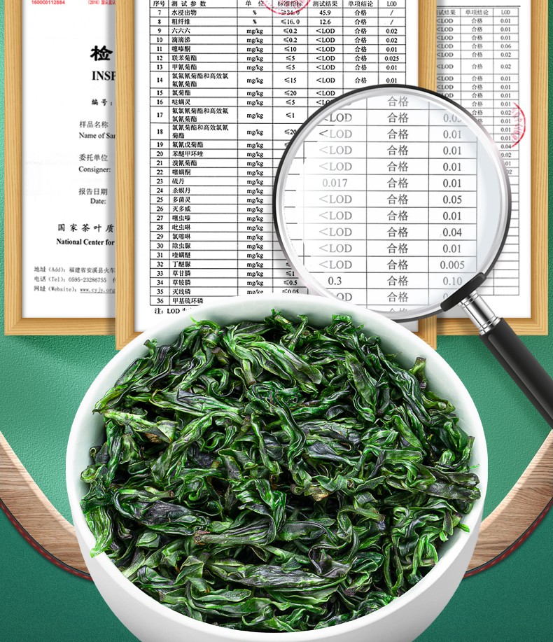 福茗源小叶苦丁茶2022新茶四川青山绿水嫩芽单叶大叶苦丁茶花草茶250g