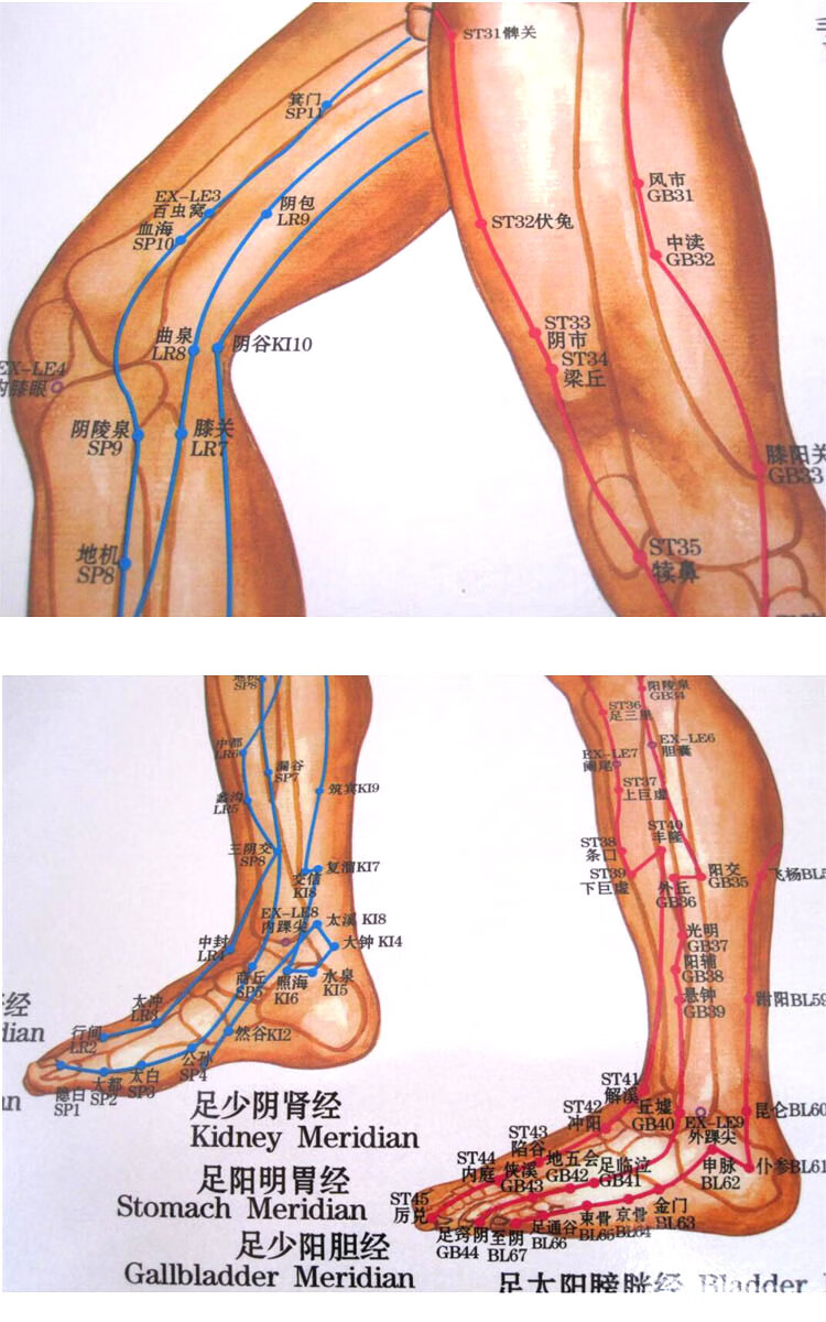 人体经络穴位图足部反射区挂图足底按摩标准穴位中医针灸大图推拿
