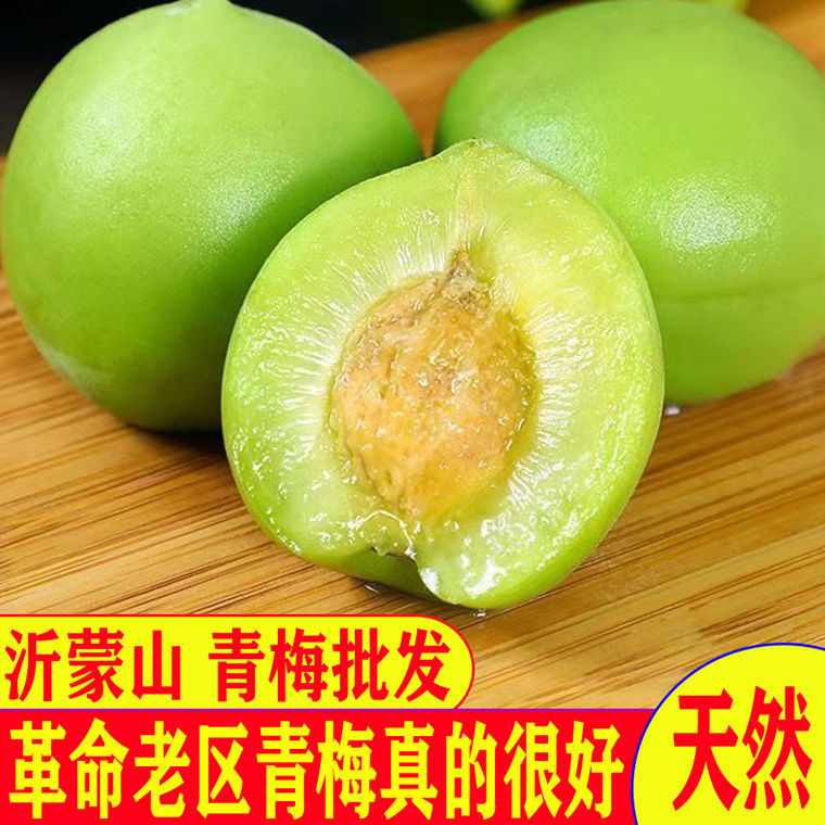 年货精选罕见沂蒙山鲜青梅脆梅批发酵素梅鲜果泡酒腌制生吃孕妇酸水果