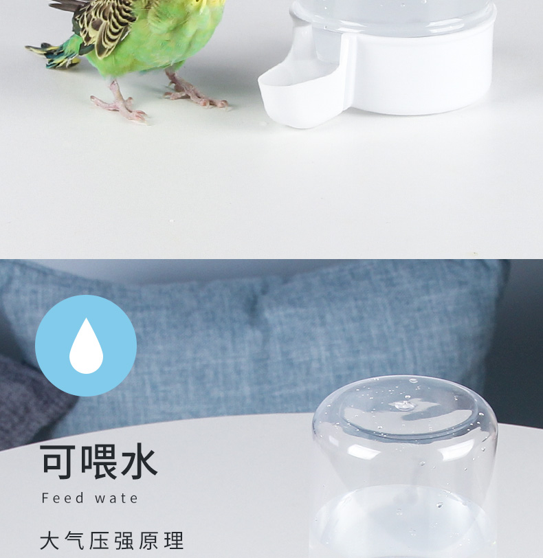 浙宠鸟用饮水器自动喂食器鹦鹉喂水器鸟喝水食盒食罐用品配件饮水喂食